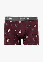BOXER OSITOS