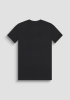 CAMISETA BASICA LIC