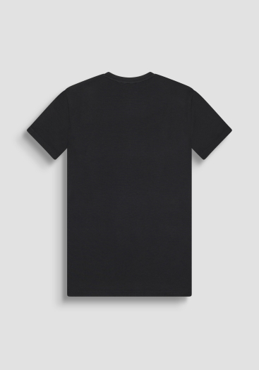 CAMISETA BASICA LIC